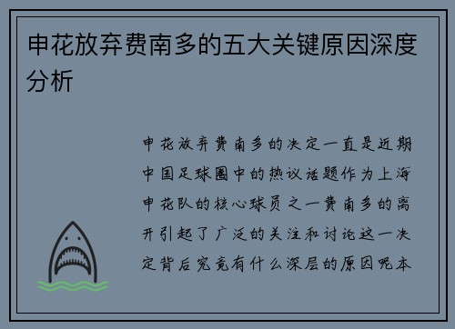 申花放弃费南多的五大关键原因深度分析 申花放弃费南多的五大关键原因深度分析